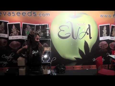 Eva Seeds en Cannafest Praga 2011