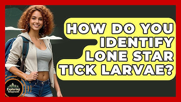 How Do You Identify Lone Star Tick Larvae? - Exploring Campgrounds
