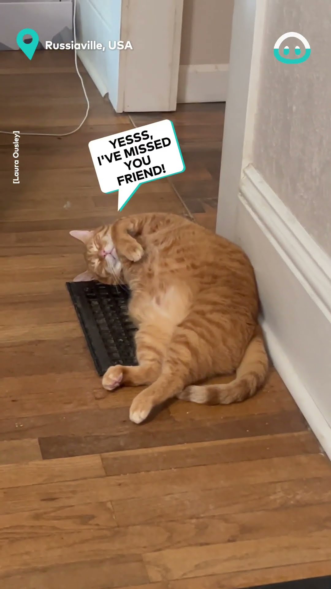 This Cat Knows Where To Sit In Winter || ViralHog