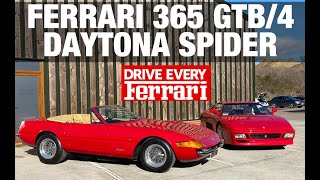 Ferrari 365 Gtb/4 Daytona Spider - #Driveeveryferrari | Thecarguys.tv
