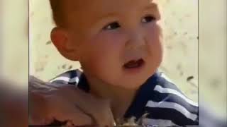 Turkmen Instrumental Steppe \