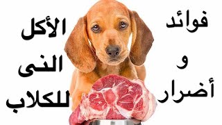 فوائد و أضرار الأكل النى للكلاب  RAW Food For Dogs