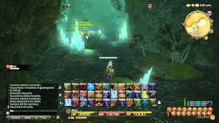 FFXIV ARR Chocobo Companion Guide: Leveling, Quest Info, & Spec Tips