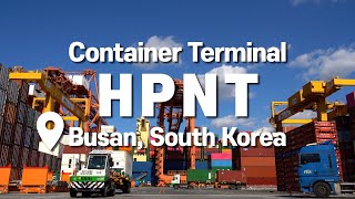 HMM - What Goes on in a Container Terminal Focused on HPNT in Busan