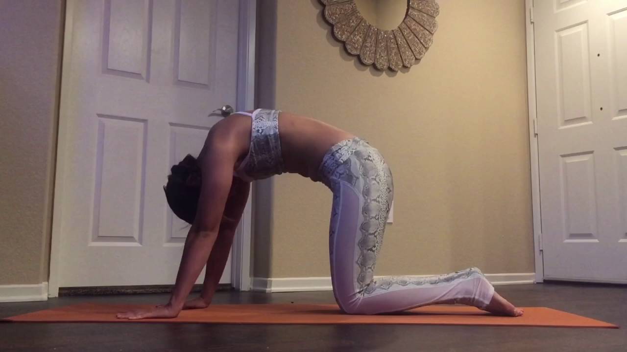 Cat/Cow Pose flow YouTube