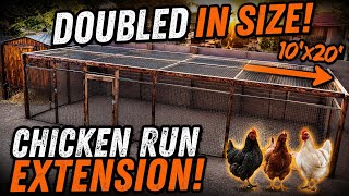 Chicken Coop EXTENSION!! For MORE CHICKENS! 🤣