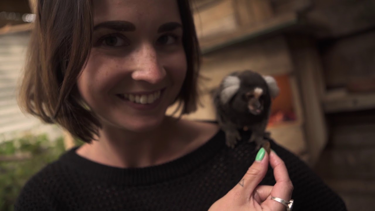 Best Monkey experience in the World