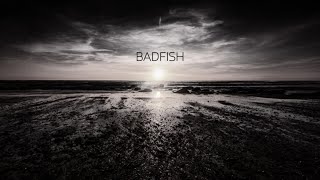 Badfish (Sublime Cover) | Michael Walls