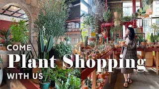 Brooklyn MustSee Plant Shops Tour  NYC House Plant Shopping 2021