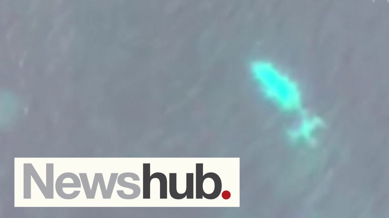 Call for tighter rules after near-fatal 2019 Southern Lakes helicopter crash | Newshub