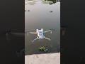 DJI Mini 3 Drone Landing Tutorial Trending || DJI Mini 3 #djidrone #shorts #dji #drone #djimini3