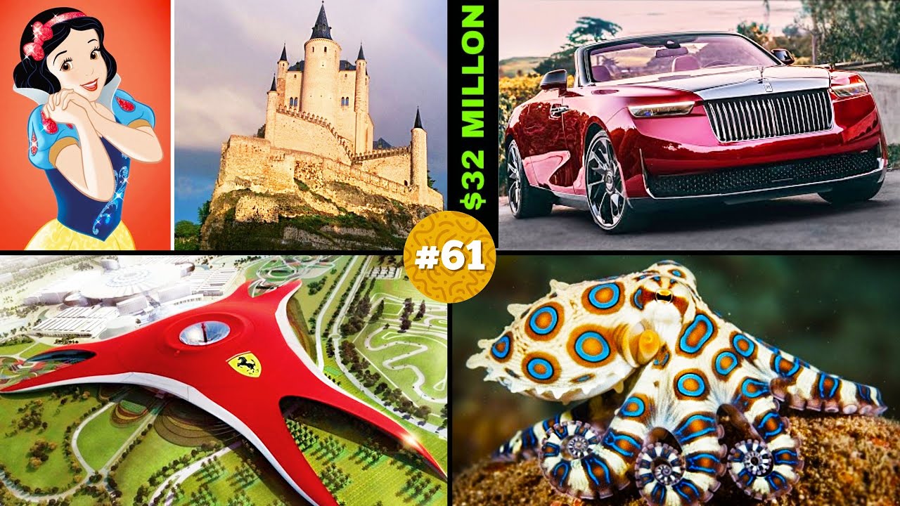 🧠 ¡20 DATOS CURIOSOS que NO sabías hace 5 minutos! 😱#61