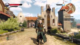 The Witcher 3: Wild Hunt - Awesome cloth physics