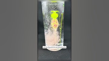 Lưỡi câu lăng xê thế hệ mới bảng nâng cấp #cauca #docauca #fishing