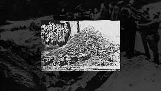 Download Lagu Diabolic Vomit - Systematic Rape of Nature [Demo 1989] MP3