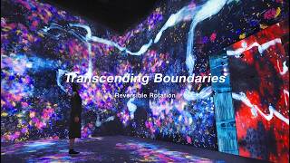 Transcending Boundaries Concept Video: Reversible Rotation