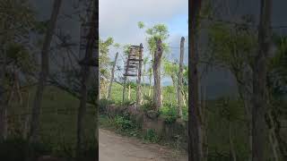 Campeada De Inha 11 De Maio 2024