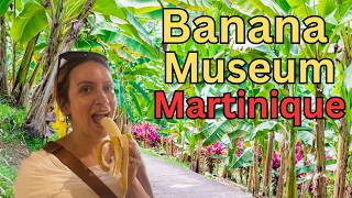 This Museum is Totally Bananas! - The Banana Museum of Martinique