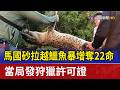 馬國砂拉越鱷魚暴增奪22命 當局發狩獵許可證