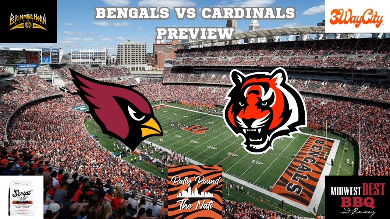 Bengals vs Cardinals Preview YouTube