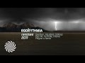 Egorythmia  night sight flegma  nerso remix