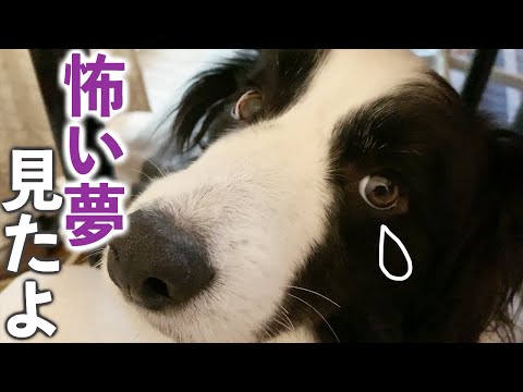 古民家暮らしのまろとぷちのチャンネル画像
