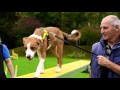 Paw Prints | Episode 3 | Bay TV Liverpool Paw Prints | Episode 3 | Bay TV Liverpool