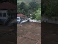 fazenda e do terreiro                                                       #google