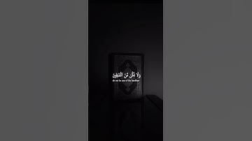 اكتب شيء تؤجر عليه 💚😴 / القارئ ياسر الدوسري | قران كريم