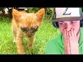 Blind Cat SEEING for the FIRST TIME! (Emotional)