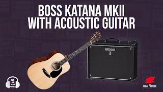 BOSS KATANA WITH ACOUSTIC GUITAR screenshot 4