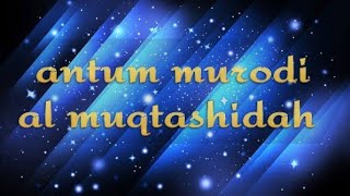 antum murodi album harapanku al muqtashidah