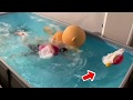 【Part16】Japanese Mascot Fails, Fights & Funny Moments Video ちぃたん☆欲張り動画セット