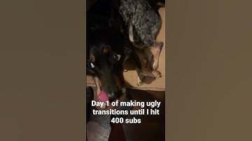 Day 1 of making  ugly transitions until I hit 400 subs #youtubeshorts #cool