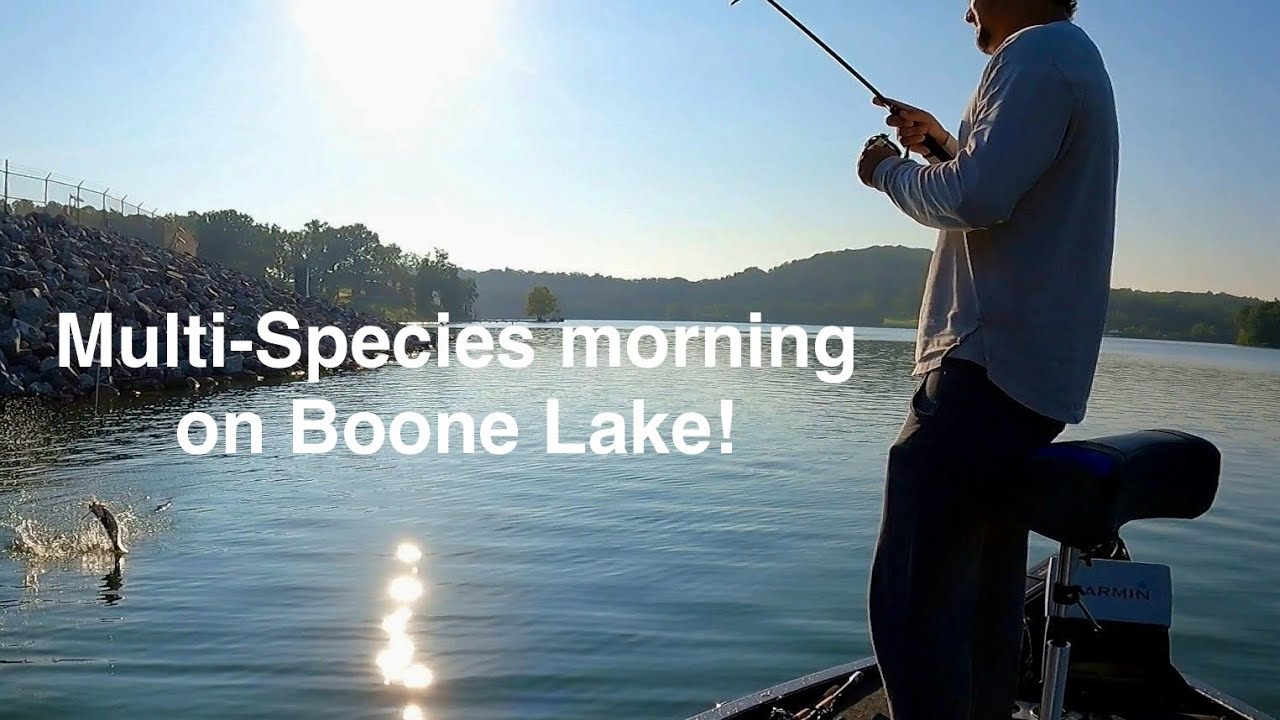 First trip at Boone Lake in beautiful Tennessee! Multi species day!