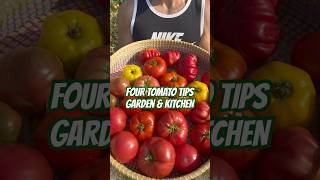 Top growing and cooking tips for tomatoes 🍅 #garden #food #cooking #education #tips #diy #shorts