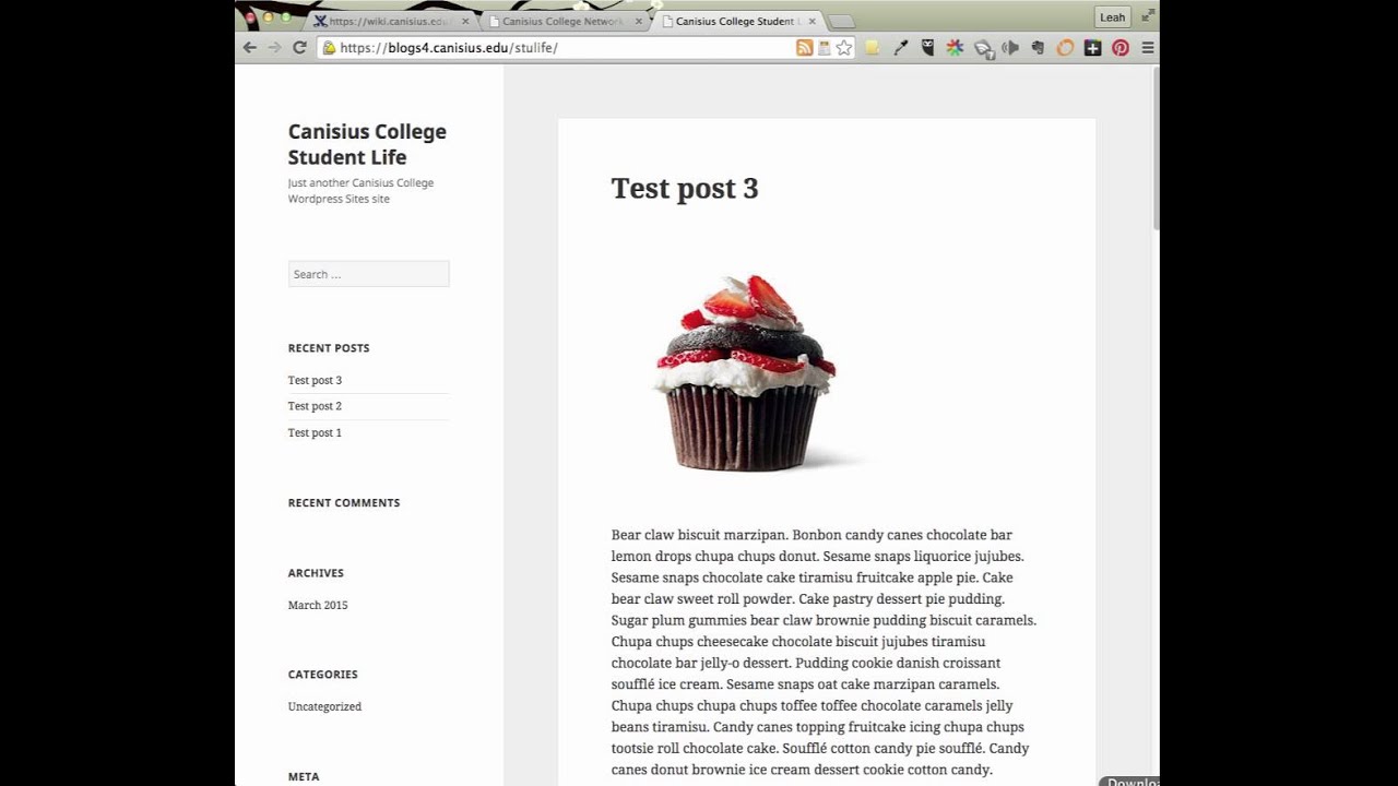 Change your Wordpress Theme - YouTube
