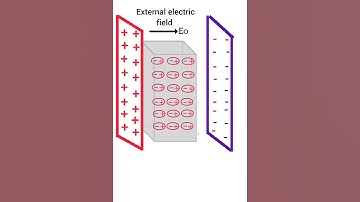 Dielectric substance -1 ♓♊ | #physics #shorts