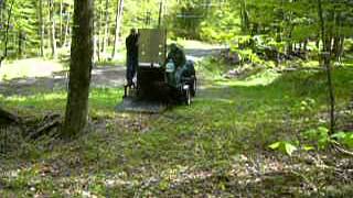 Schenectady bear released