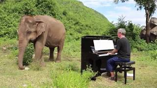 Video thumbnail of "Bach on Piano for Blind Elephant"