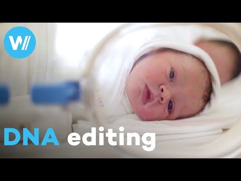 Genetic engineering can accelerate evolution and save the planet | The Future Is Here (6/6) documentary thumbnail