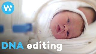 Genetic engineering can accelerate evolution and save the planet | The Future Is Here (6/6)