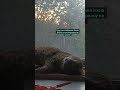 Забирай частичку расслабления себе #самара #классическиймассаж #массажтела