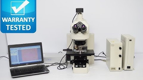 Nikon Eclipse 90i Motorized Upright Fluorescence Microscope   25248
