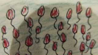 99 Luftballons Animation