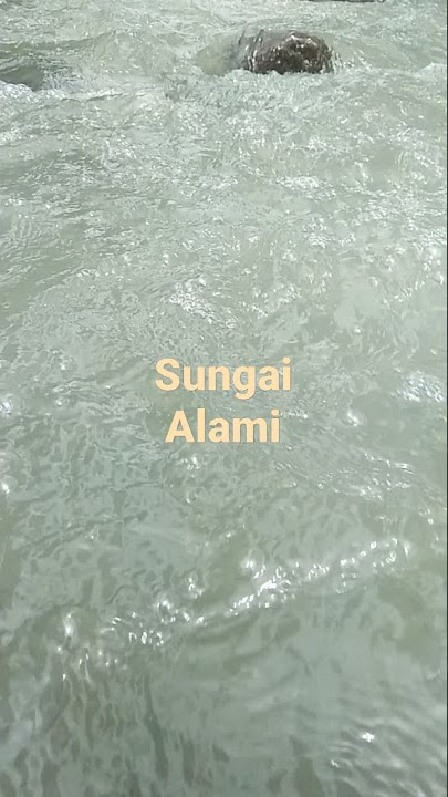 Sungai Pegunungan - alam #feedshorts