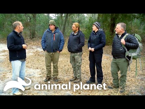 The Team Investigates Bigfoot Sightings in Southern Georgia! | Finding Bigfoot | Animal Planet