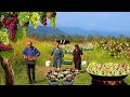 Harvesting fresh fruits in the village  1 hour of the best fruit recipes