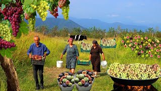 Harvesting Fresh Fruits in the Village - 1 Hour Of The Best Fruit Recipes