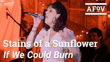 STAINS OF A SUNFLOWER - If We Could Burn | A Fistful Of Vinyl